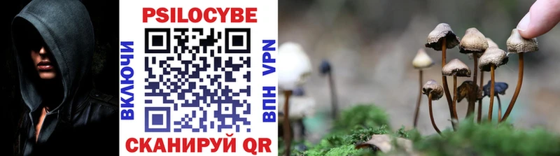 площадка состав  Нюрба  Псилоцибиновые грибы Cubensis 
